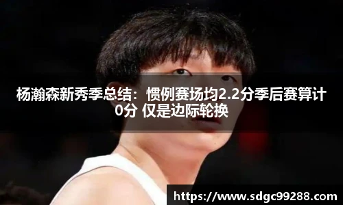 杨瀚森新秀季总结：惯例赛场均2.2分季后赛算计0分 仅是边际轮换